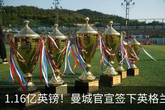 1.16亿英镑！曼城官宣签下英格兰国脚安德森，转会费仅比英国纪录少100万